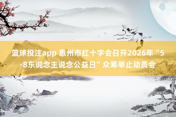 篮球投注app 惠州市红十字会召开2026年“5·8东说念主说念公益日”众筹举止动员会