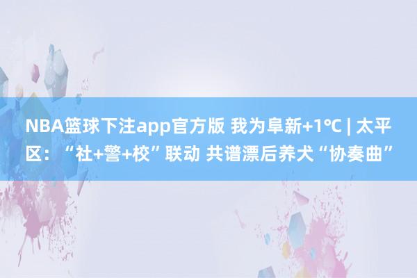 NBA篮球下注app官方版 我为阜新+1℃ | 太平区：“社+警+校”联动 共谱漂后养犬“协奏曲”