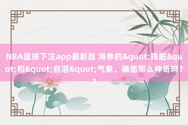 NBA篮球下注app最新版 海参的"排脏"和"自溶"气象，确凿那么神奇吗？