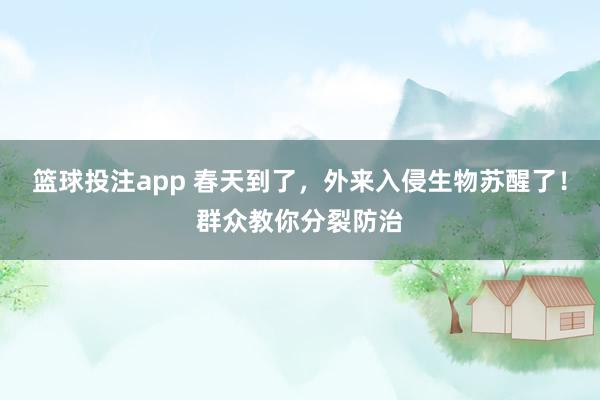 篮球投注app 春天到了，外来入侵生物苏醒了！群众教你分裂防治