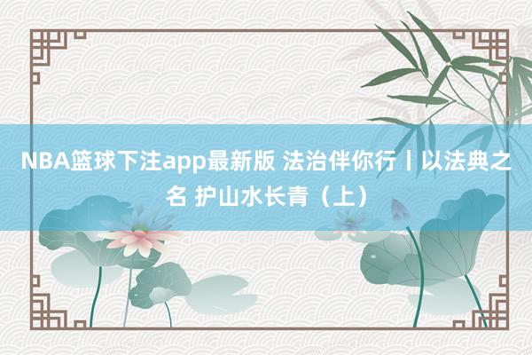 NBA篮球下注app最新版 法治伴你行丨以法典之名 护山水长青（上）