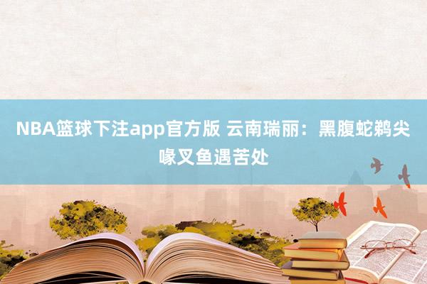 NBA篮球下注app官方版 云南瑞丽：黑腹蛇鹈尖喙叉鱼遇苦处