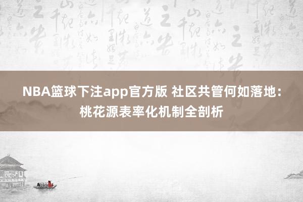 NBA篮球下注app官方版 社区共管何如落地：桃花源表率化机制全剖析