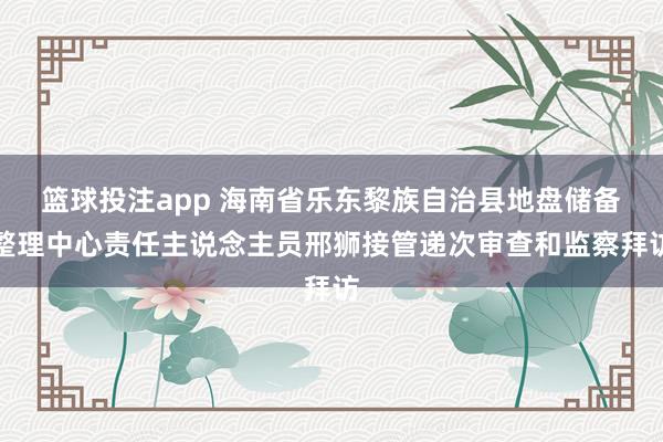 篮球投注app 海南省乐东黎族自治县地盘储备整理中心责任主说念主员邢狮接管递次审查和监察拜访