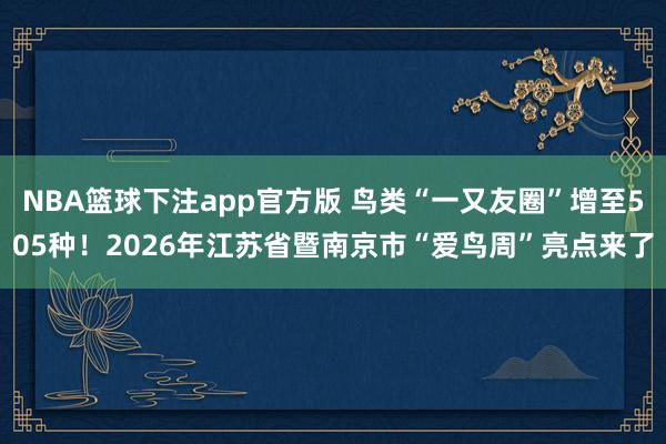 NBA篮球下注app官方版 鸟类“一又友圈”增至505种！2026年江苏省暨南京市“爱鸟周”亮点来了