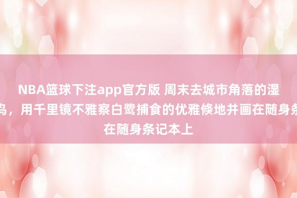 NBA篮球下注app官方版 周末去城市角落的湿地不雅鸟，用千里镜不雅察白鹭捕食的优雅倏地并画在随身条记本上