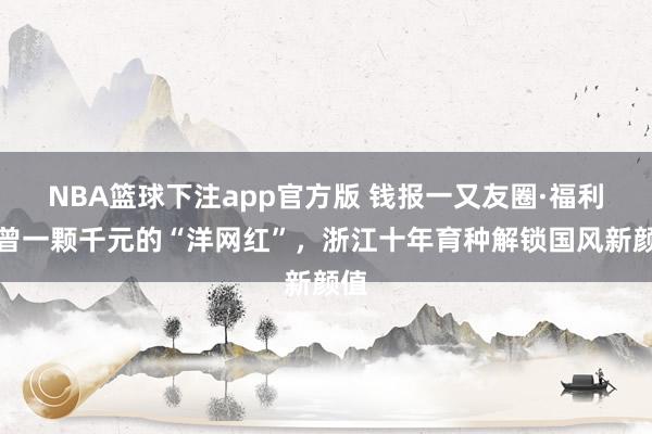 NBA篮球下注app官方版 钱报一又友圈·福利｜曾一颗千元的“洋网红”，浙江十年育种解锁国风新颜值