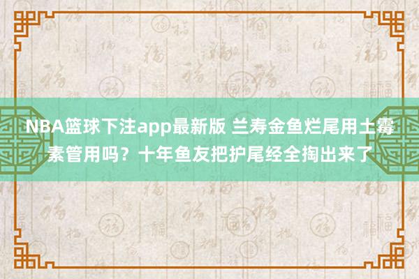 NBA篮球下注app最新版 兰寿金鱼烂尾用土霉素管用吗？十年鱼友把护尾经全掏出来了