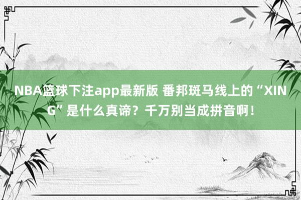 NBA篮球下注app最新版 番邦斑马线上的“XING”是什么真谛？千万别当成拼音啊！
