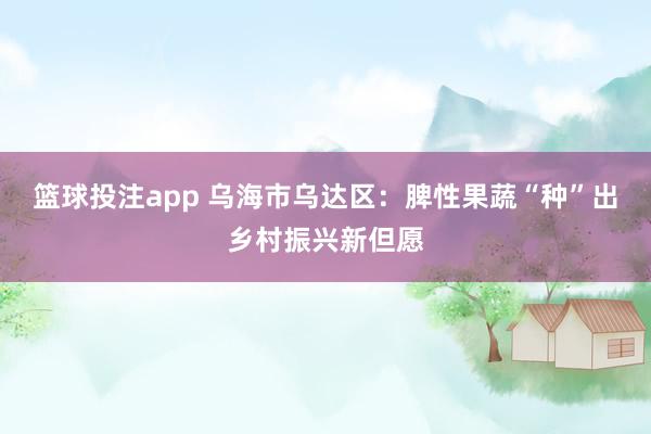 篮球投注app 乌海市乌达区：脾性果蔬“种”出乡村振兴新但愿