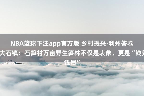 NBA篮球下注app官方版 乡村振兴·利州答卷｜大石镇：石笋村万亩野生笋林不仅是表象，更是“钱景”