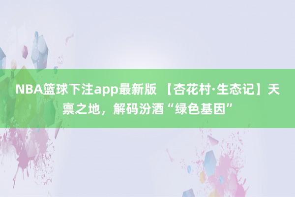 NBA篮球下注app最新版 【杏花村·生态记】天禀之地，解码汾酒“绿色基因”