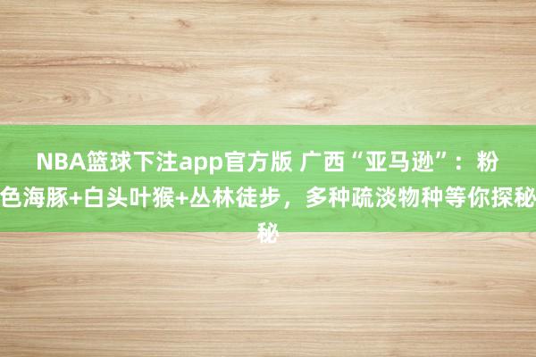 NBA篮球下注app官方版 广西“亚马逊”：粉色海豚+白头叶猴+丛林徒步，多种疏淡物种等你探秘