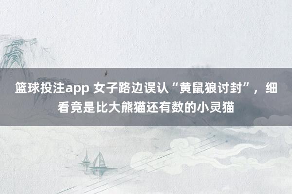 篮球投注app 女子路边误认“黄鼠狼讨封”，细看竟是比大熊猫还有数的小灵猫