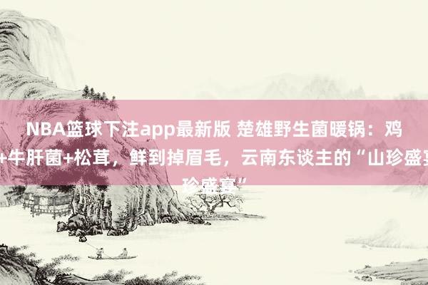 NBA篮球下注app最新版 楚雄野生菌暖锅：鸡枞+牛肝菌+松茸，鲜到掉眉毛，云南东谈主的“山珍盛宴”
