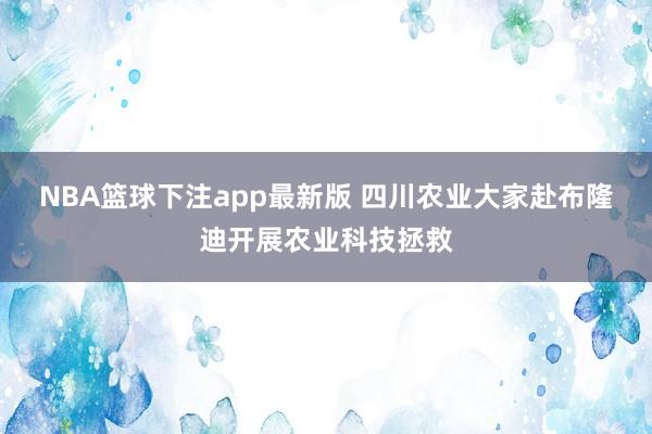 NBA篮球下注app最新版 四川农业大家赴布隆迪开展农业科技拯救