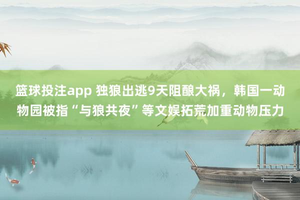 篮球投注app 独狼出逃9天阻酿大祸，韩国一动物园被指“与狼共夜”等文娱拓荒加重动物压力