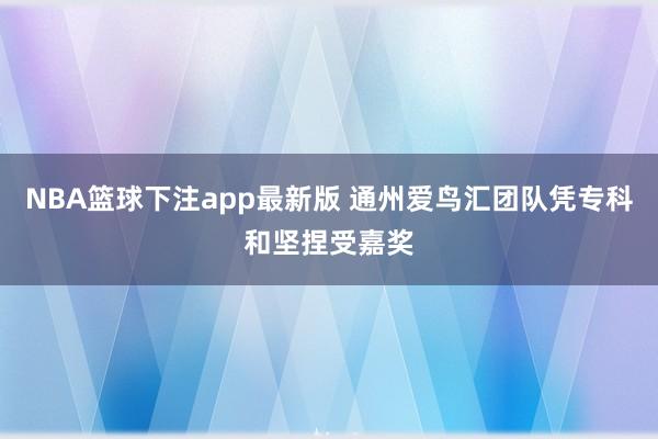 NBA篮球下注app最新版 通州爱鸟汇团队凭专科和坚捏受嘉奖