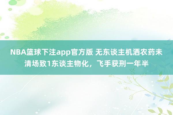 NBA篮球下注app官方版 无东谈主机洒农药未清场致1东谈主物化，飞手获刑一年半