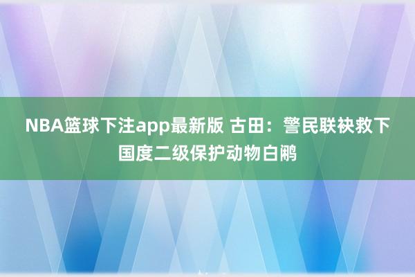 NBA篮球下注app最新版 古田：警民联袂救下国度二级保护动物白鹇