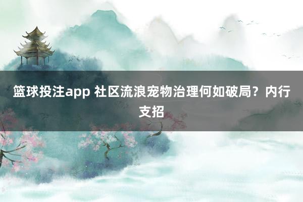 篮球投注app 社区流浪宠物治理何如破局？内行支招