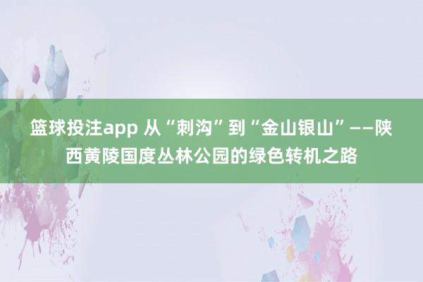 篮球投注app 从“刺沟”到“金山银山”——陕西黄陵国度丛林公园的绿色转机之路