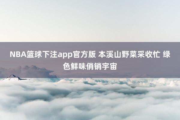 NBA篮球下注app官方版 本溪山野菜采收忙 绿色鲜味俏销宇宙