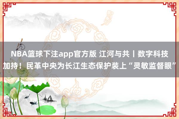 NBA篮球下注app官方版 江河与共丨数字科技加持！民革中央为长江生态保护装上“灵敏监督眼”