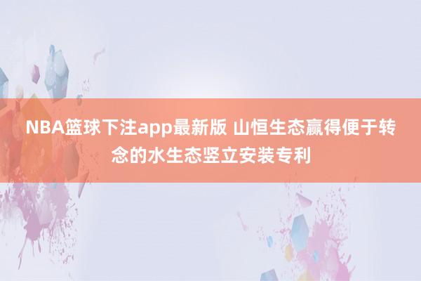 NBA篮球下注app最新版 山恒生态赢得便于转念的水生态竖立安装专利
