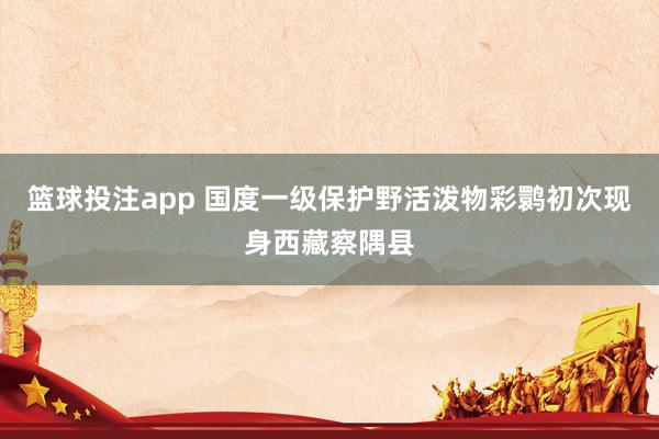 篮球投注app 国度一级保护野活泼物彩鹮初次现身西藏察隅县