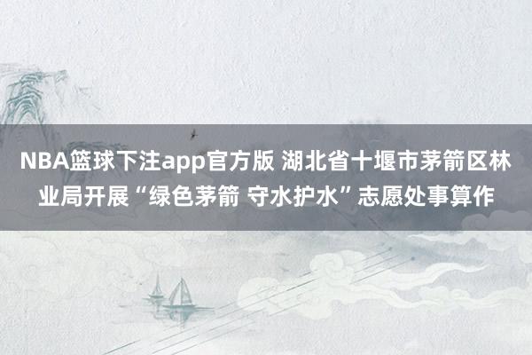 NBA篮球下注app官方版 湖北省十堰市茅箭区林业局开展“绿色茅箭 守水护水”志愿处事算作