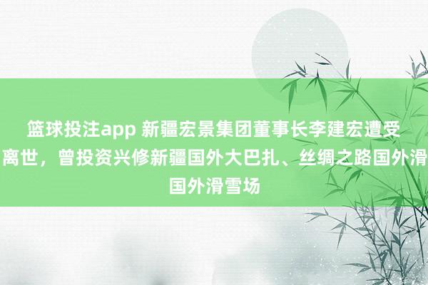 篮球投注app 新疆宏景集团董事长李建宏遭受车祸离世，曾投资兴修新疆国外大巴扎、丝绸之路国外滑雪场