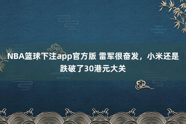 NBA篮球下注app官方版 雷军很奋发，小米还是跌破了30港元大关