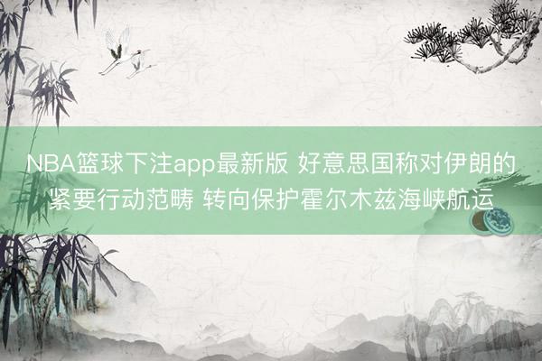 NBA篮球下注app最新版 好意思国称对伊朗的紧要行动范畴 转向保护霍尔木兹海峡航运