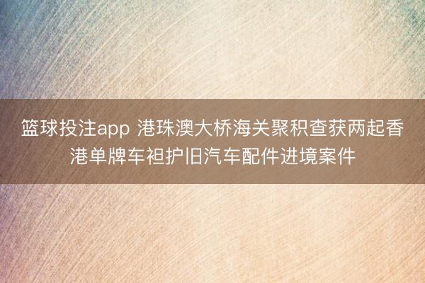 篮球投注app 港珠澳大桥海关聚积查获两起香港单牌车袒护旧汽车配件进境案件