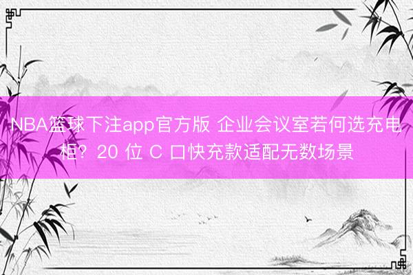 NBA篮球下注app官方版 企业会议室若何选充电柜？20 位 C 口快充款适配无数场景