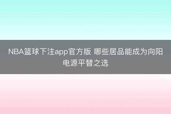 NBA篮球下注app官方版 哪些居品能成为向阳电源平替之选
